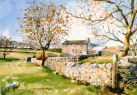 watercolour of Yorkshire Dales with farm sheep & trees